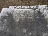 image of grave number 238561